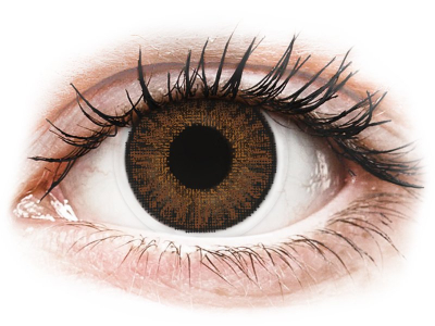 TopVue Color daily - Brown - nedioptrijske (10 kom leća) - Kontaktne leće u boji