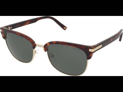 Polaroid PLD 2076/S 086/UC