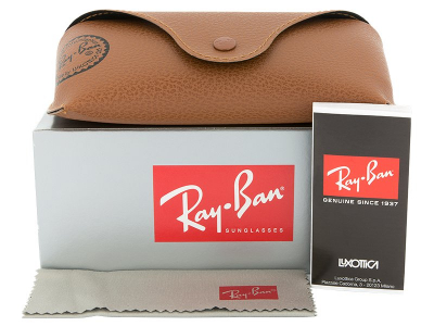Ray-Ban Justin RB4165 - 865/T5 - Preview pack (illustration photo)