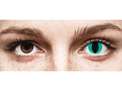 CRAZY LENS - Cat Eye Aqua - jednodnevne leće bez dioptrije (2 kom leća)