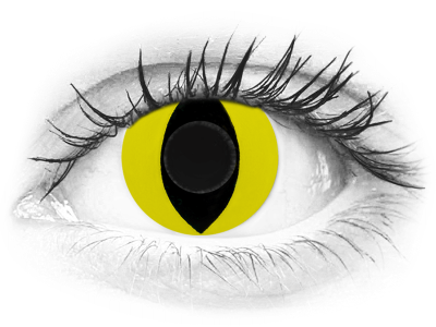 CRAZY LENS - Cat Eye Yellow - jednodnevne leće bez dioptrije (2 kom leća)