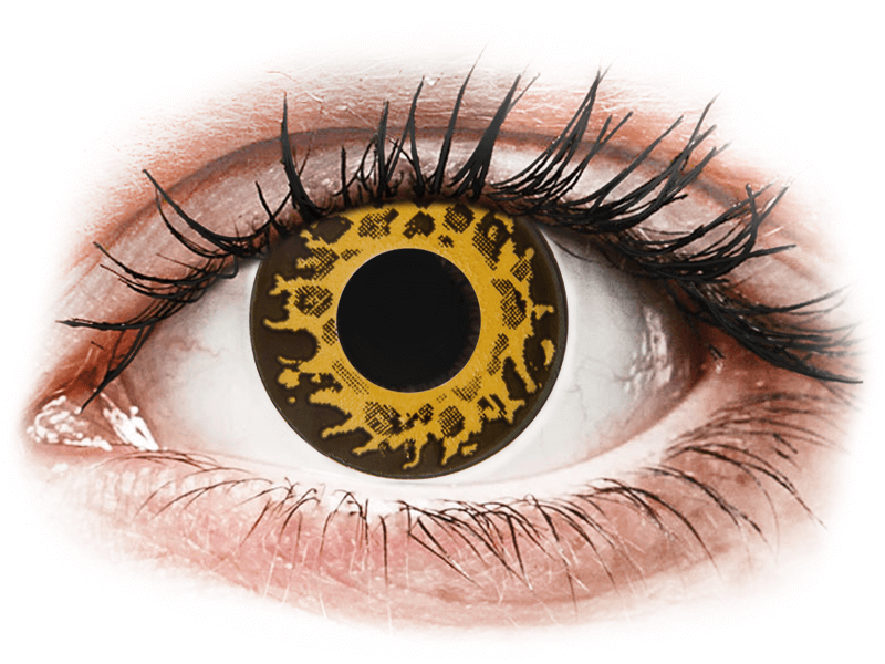 CRAZY LENS - Cheetah - jednodnevne leće bez dioptrije (2 kom leća) - Kontaktne leće u boji