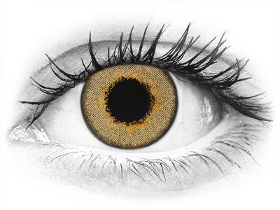 TopVue Daily Color - Brown - jednodnevne leće bez dioptrije (2 kom leća)